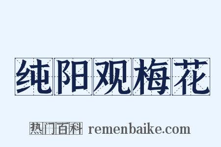 纯阳观梅花是什么意思的图片